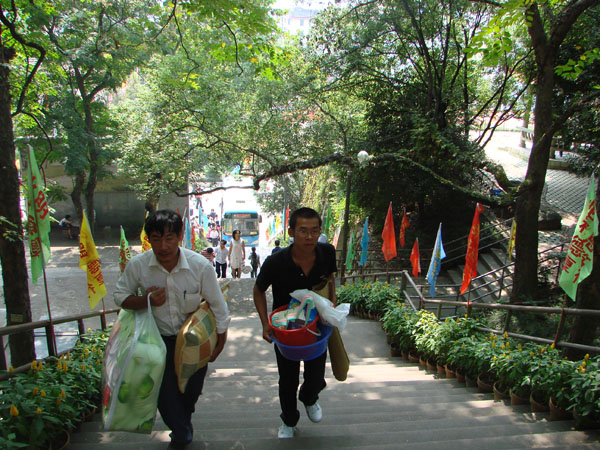 2025年新澳门原料免费