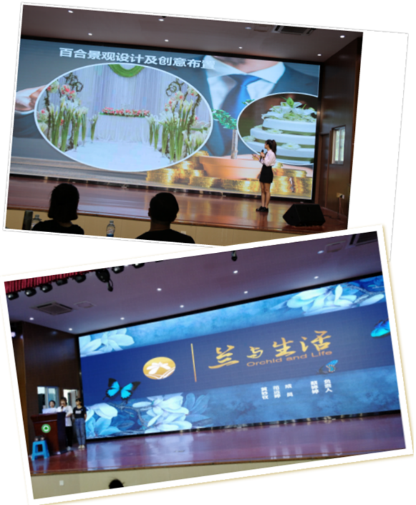 2025年新澳门原料免费