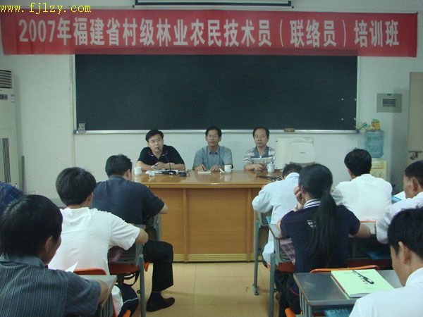 2025年新澳门原料免费