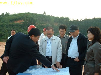 2025年新澳门原料免费