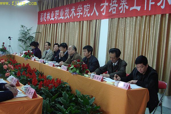 2025年新澳门原料免费