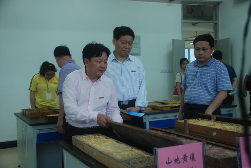 2025年新澳门原料免费