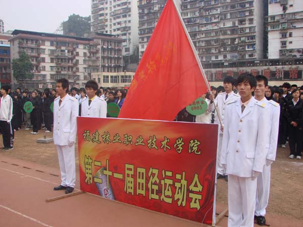 2025年新澳门原料免费
