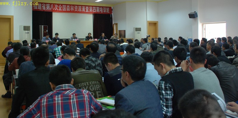 2025年新澳门原料免费