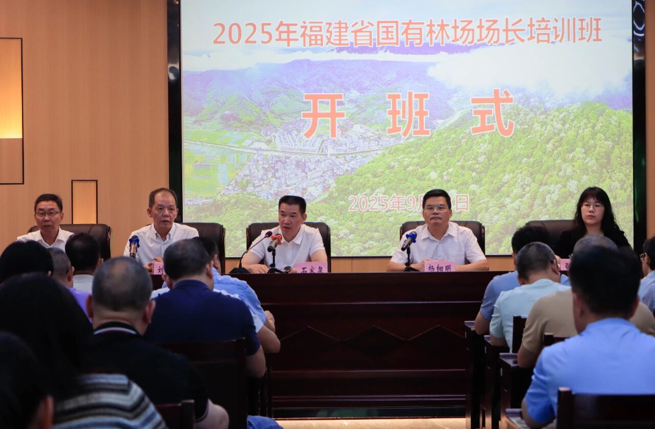 2025年新澳门原料免费