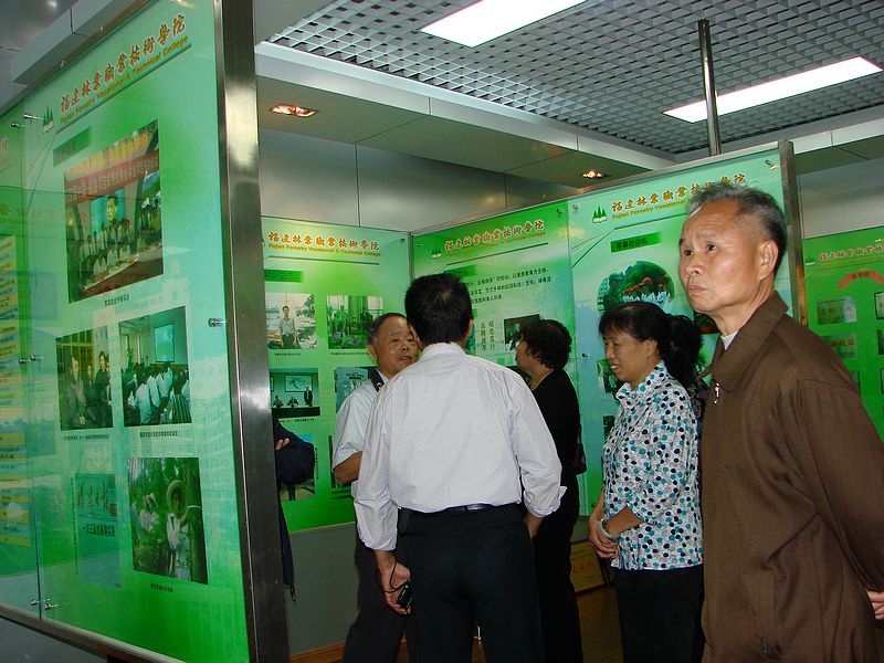 2025年新澳门原料免费