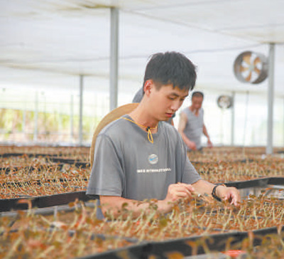 2025年新澳门原料免费 2025年新澳门原料免费