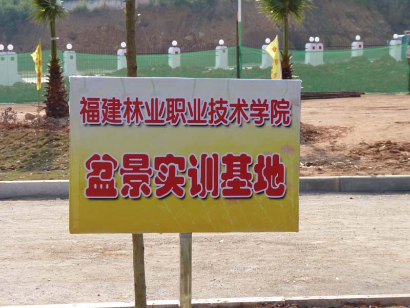 2025年新澳门原料免费