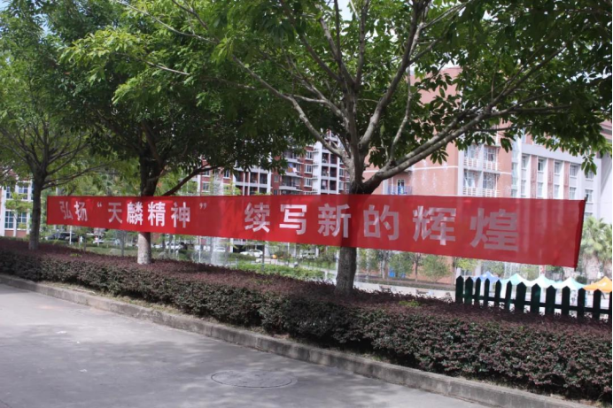2025年新澳门原料免费