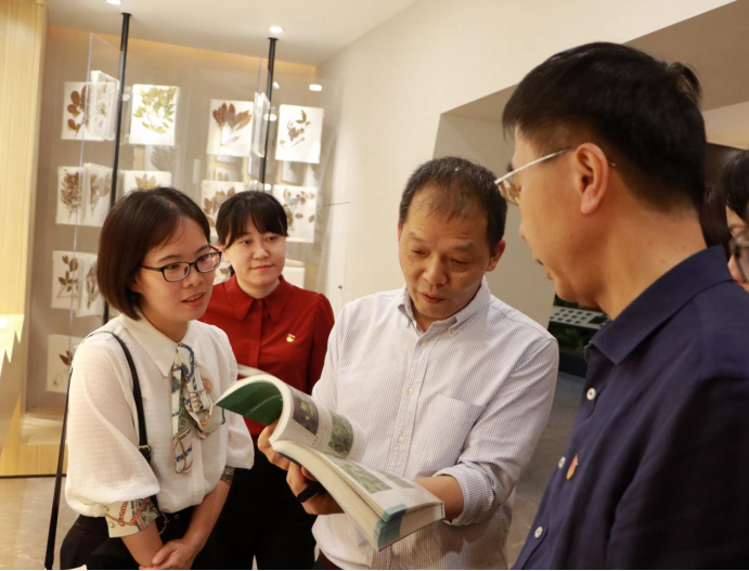 2025年新澳门原料免费