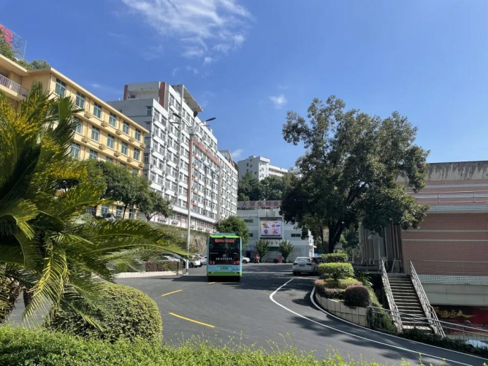 2025年新澳门原料免费