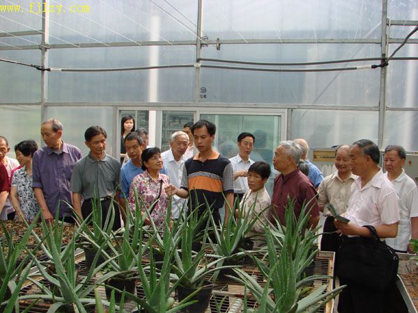 2025年新澳门原料免费