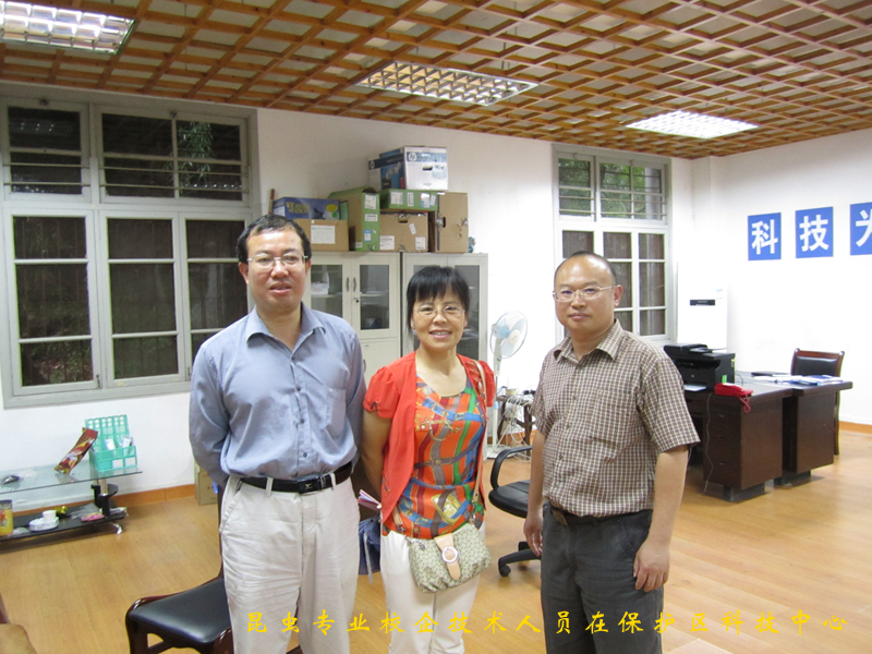 2025年新澳门原料免费