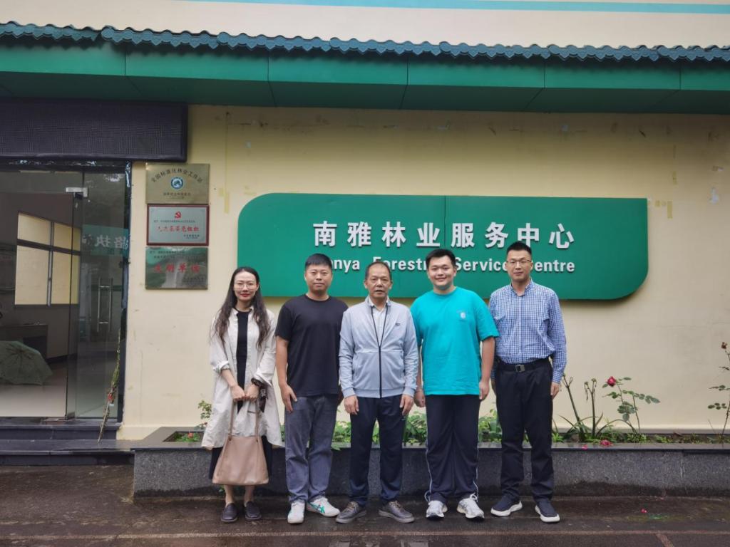 2025年新澳门原料免费