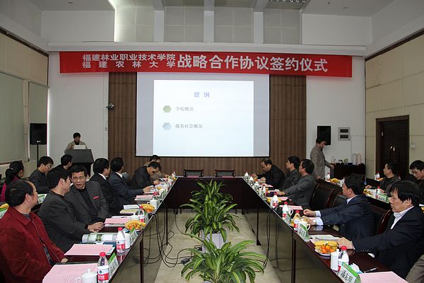 2025年新澳门原料免费