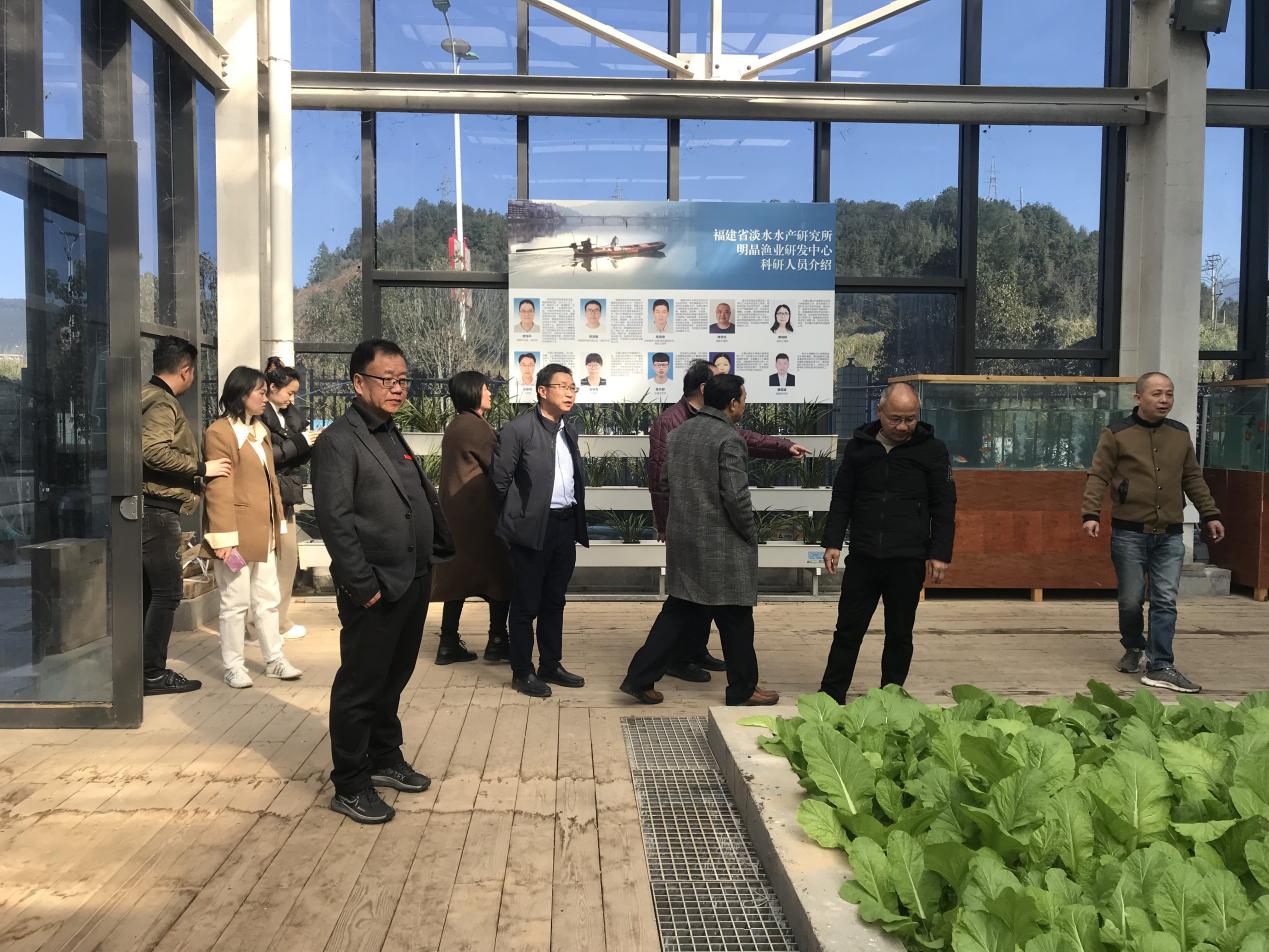 2025年新澳门原料免费