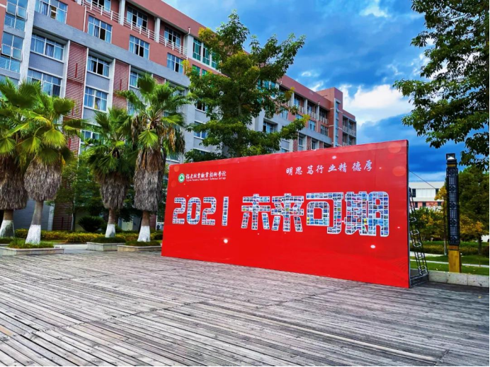 2025年新澳门原料免费