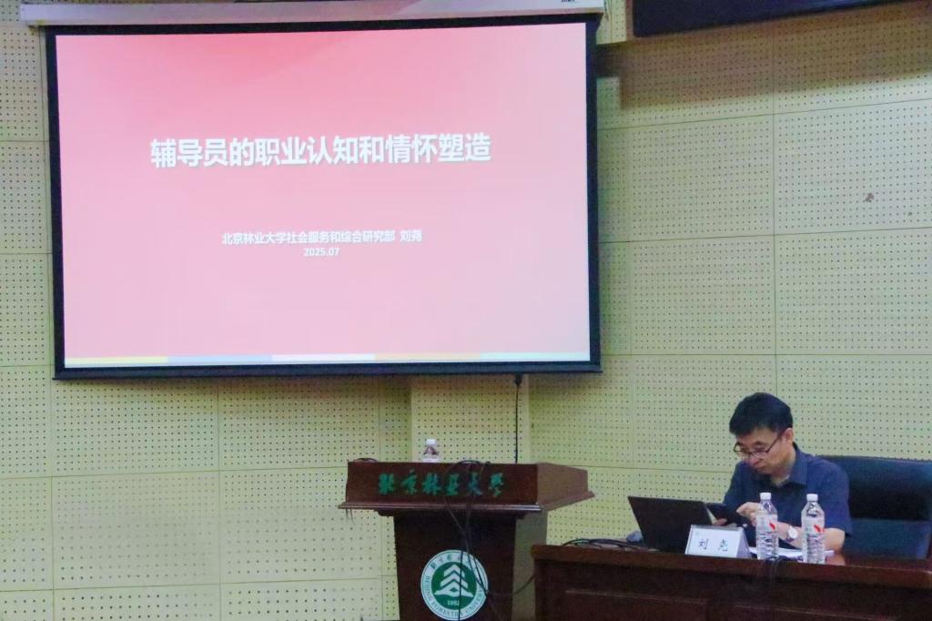2025年新澳门原料免费