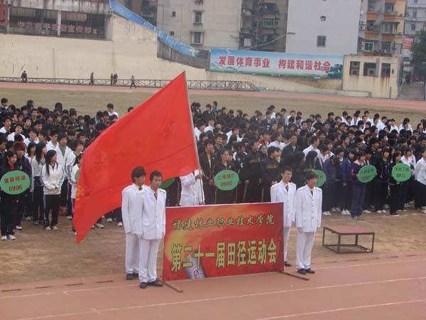 2025年新澳门原料免费