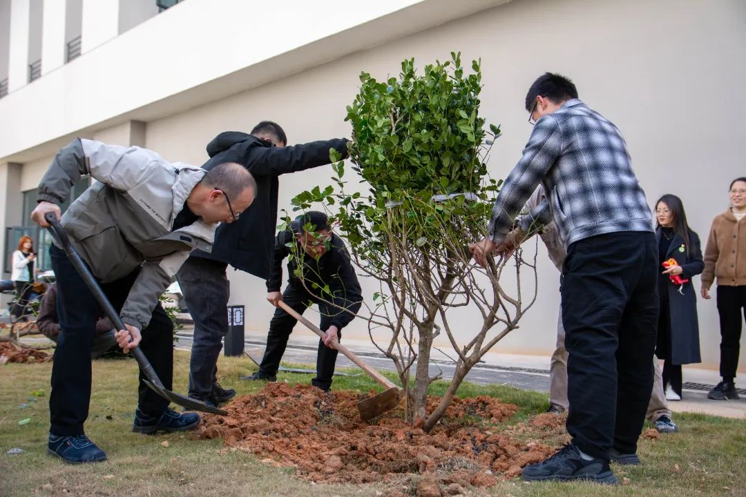 2025年新澳门原料免费