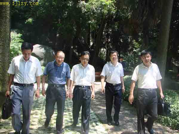 2025年新澳门原料免费