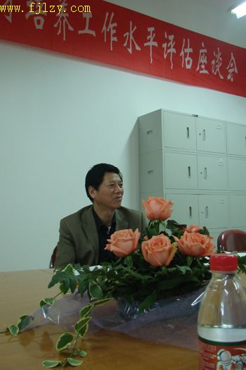2025年新澳门原料免费
