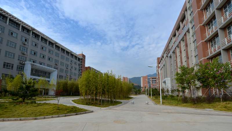 2025年新澳门原料免费