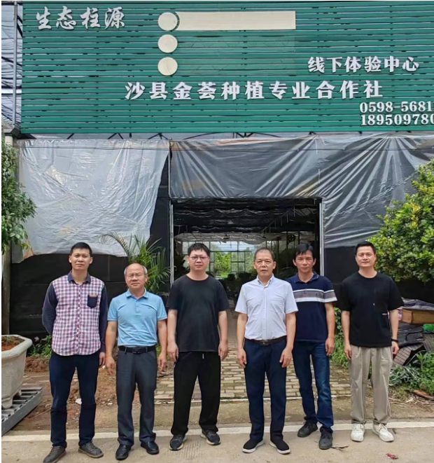 2025年新澳门原料免费 2025年新澳门原料免费