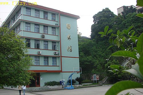 2025年新澳门原料免费