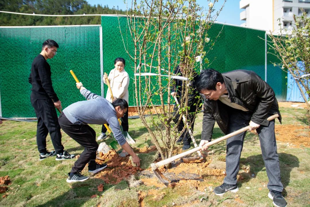 2025年新澳门原料免费