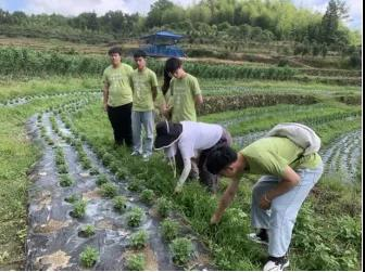 2025年新澳门原料免费 2025年新澳门原料免费