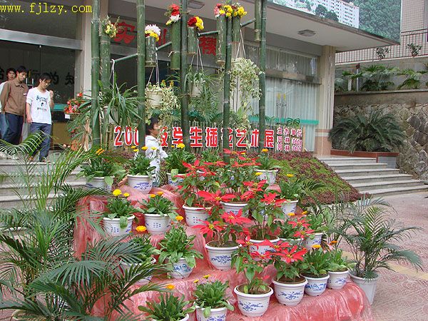 2025年新澳门原料免费