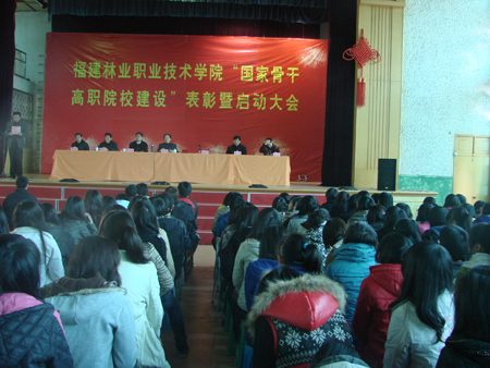 2025年新澳门原料免费