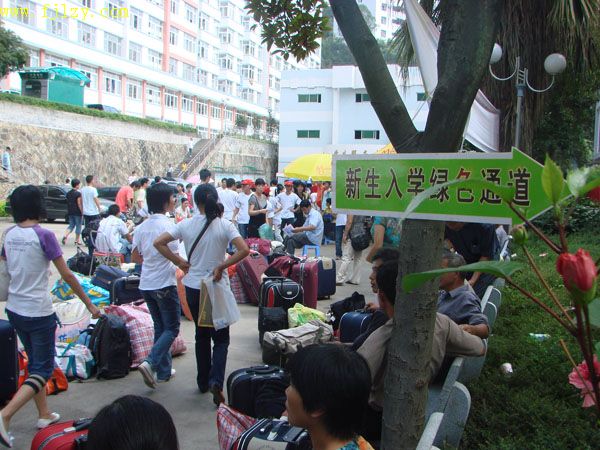 2025年新澳门原料免费