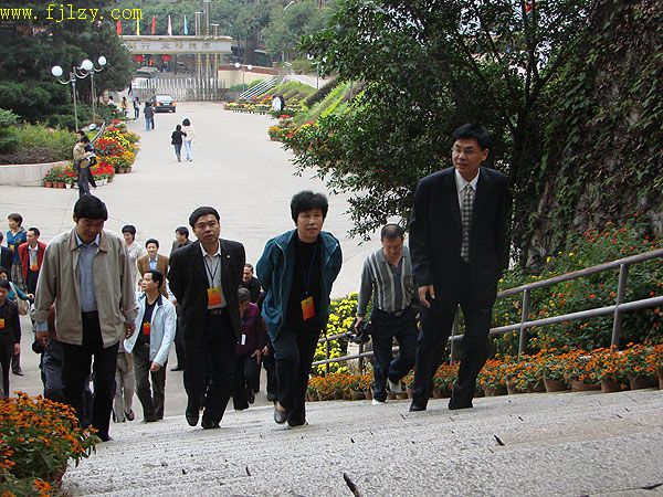 2025年新澳门原料免费