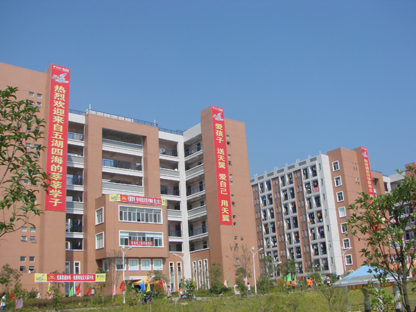 2025年新澳门原料免费