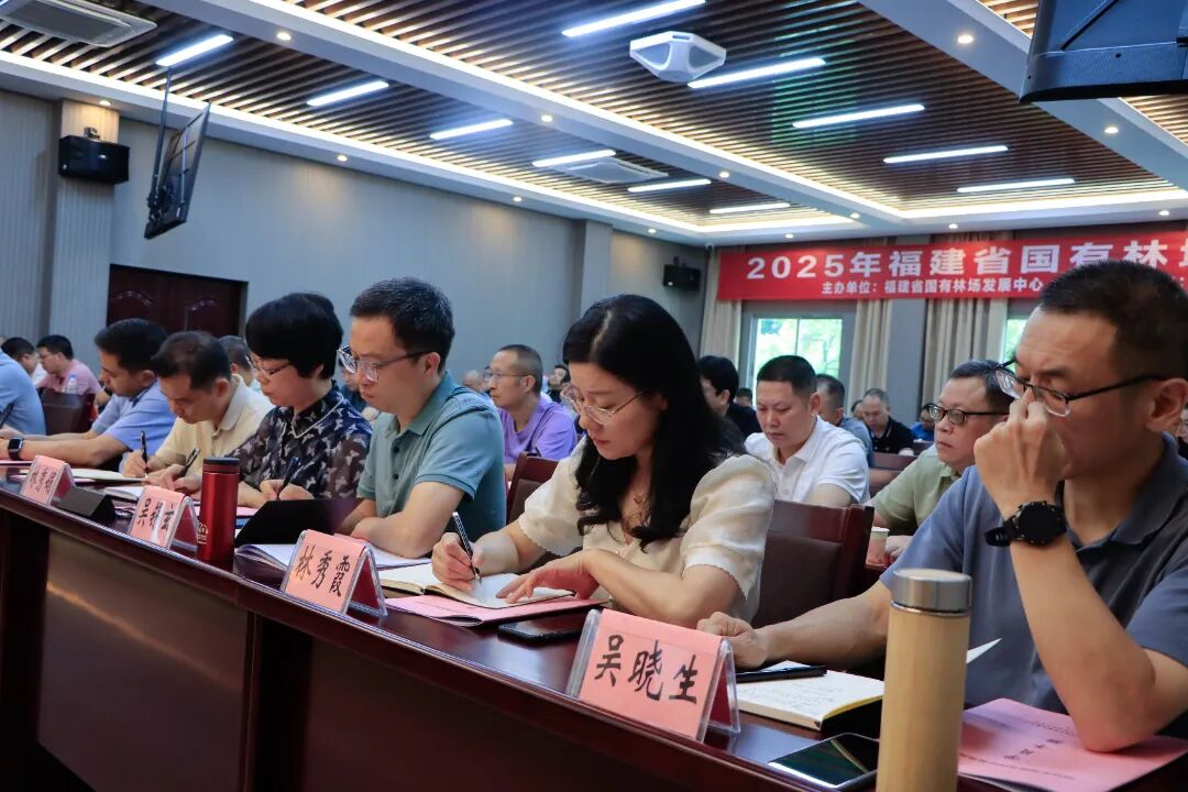 2025年新澳门原料免费