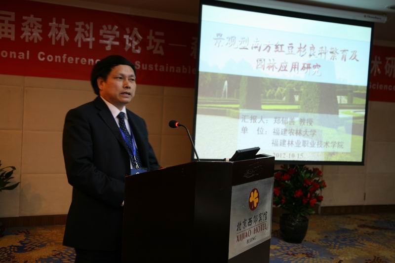 2025年新澳门原料免费