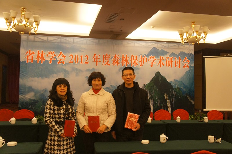 2025年新澳门原料免费