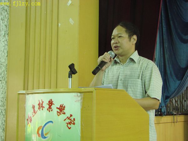 2025年新澳门原料免费