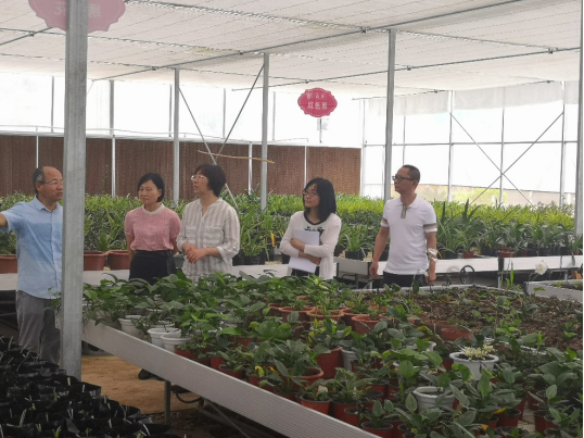 2025年新澳门原料免费