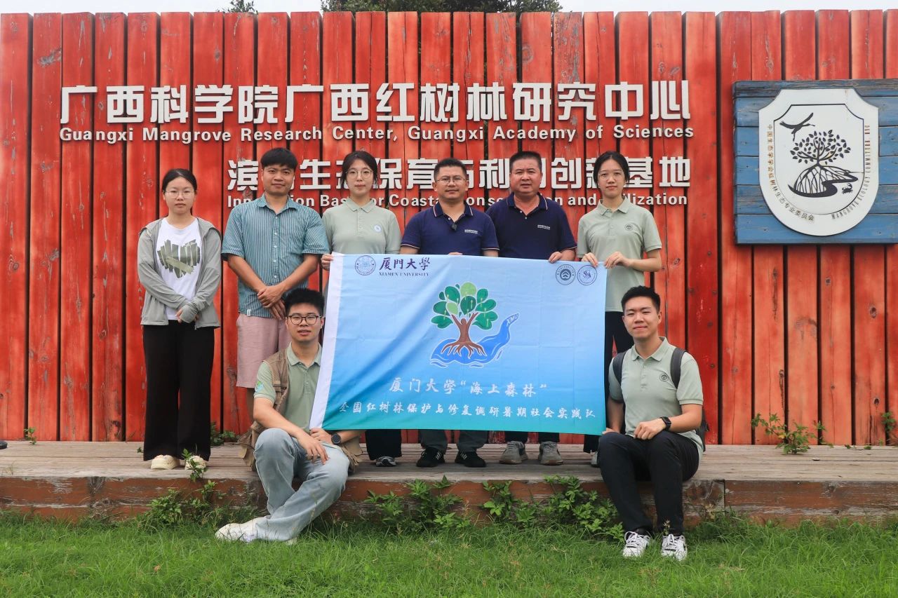 2025年新澳门原料免费