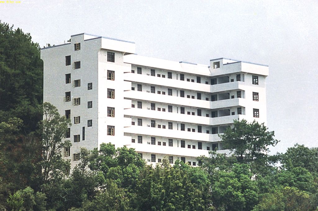 2025年新澳门原料免费