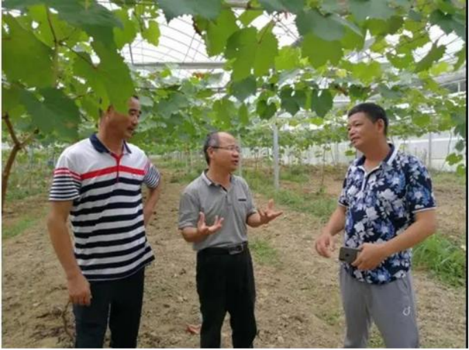2025年新澳门原料免费 2025年新澳门原料免费