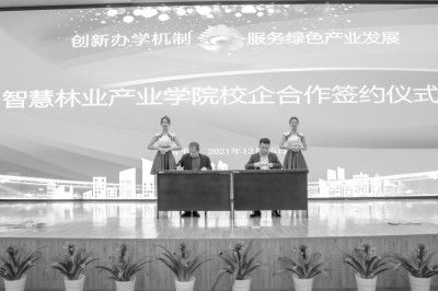 2025年新澳门原料免费