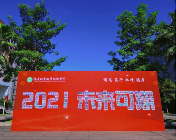 2025年新澳门原料免费
