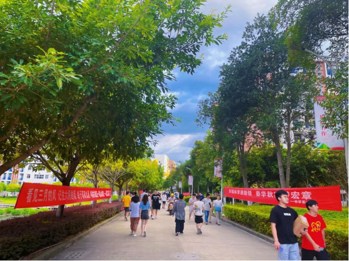 2025年新澳门原料免费
