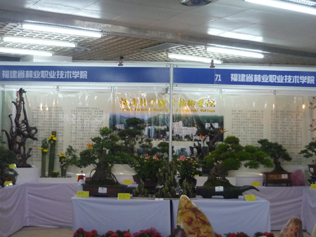 2025年新澳门原料免费