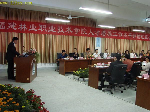 2025年新澳门原料免费