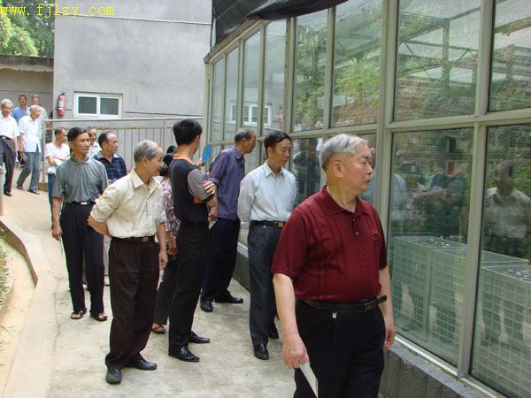 2025年新澳门原料免费